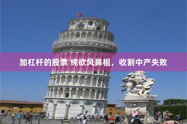 加杠杆的股票 纯欲风鼻祖，收割中产失败