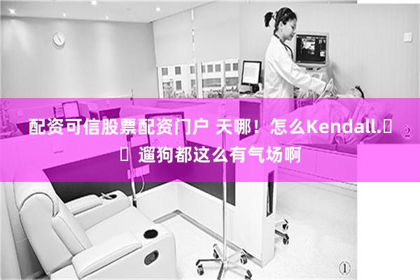 配资可信股票配资门户 天哪！怎么Kendall.​​遛狗都这么有气场啊