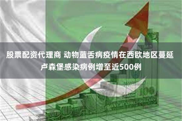 股票配资代理商 动物蓝舌病疫情在西欧地区蔓延 卢森堡感染病例增至近500例