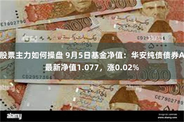 股票主力如何操盘 9月5日基金净值：华安纯债债券A最新净值1.077，涨0.02%