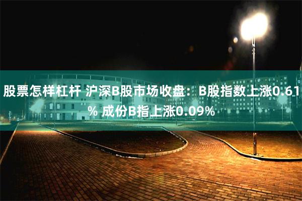 股票怎样杠杆 沪深B股市场收盘：B股指数上涨0.61% 成份B指上涨0.09%