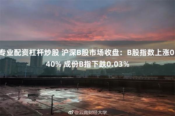 专业配资杠杆炒股 沪深B股市场收盘：B股指数上涨0.40% 成份B指下跌0.03%