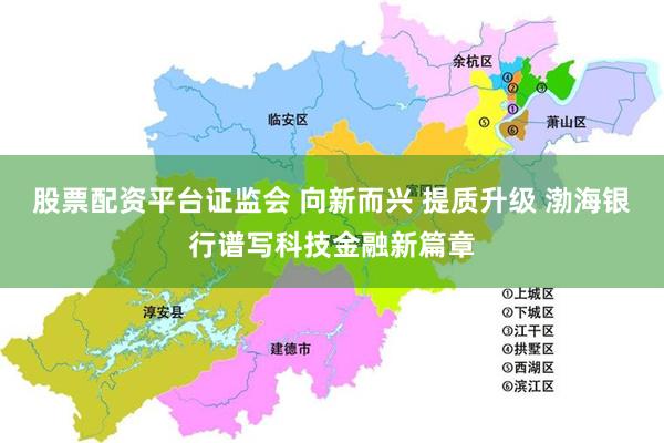 股票配资平台证监会 向新而兴 提质升级 渤海银行谱写科技金融新篇章