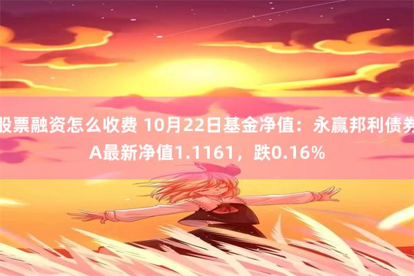 股票融资怎么收费 10月22日基金净值：永赢邦利债券A最新净值1.1161，跌0.16%