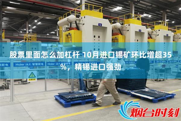 股票里面怎么加杠杆 10月进口锡矿环比增超35%，精锡进口强劲