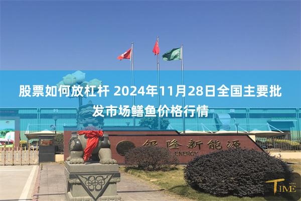 股票如何放杠杆 2024年11月28日全国主要批发市场鳝鱼价格行情