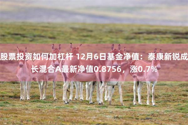 股票投资如何加杠杆 12月6日基金净值：泰康新锐成长混合A最新净值0.8756，涨0.7%