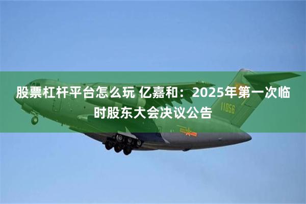 股票杠杆平台怎么玩 亿嘉和：2025年第一次临时股东大会决议公告
