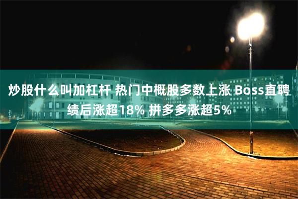 炒股什么叫加杠杆 热门中概股多数上涨 Boss直聘绩后涨超18% 拼多多涨超5%