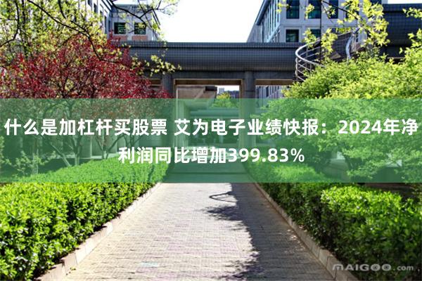 什么是加杠杆买股票 艾为电子业绩快报：2024年净利润同比增加399.83%