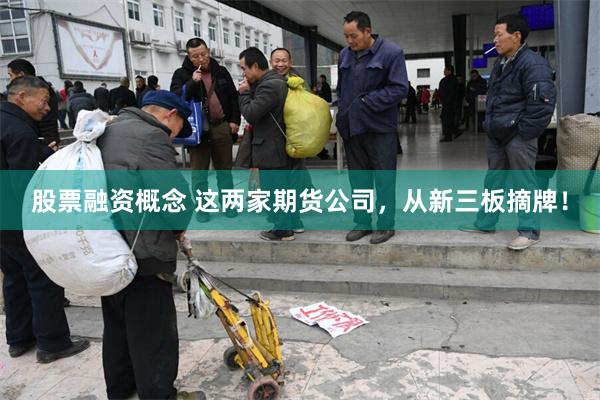 股票融资概念 这两家期货公司，从新三板摘牌！
