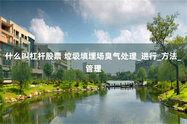 什么叫杠杆股票 垃圾填埋场臭气处理_进行_方法_管理
