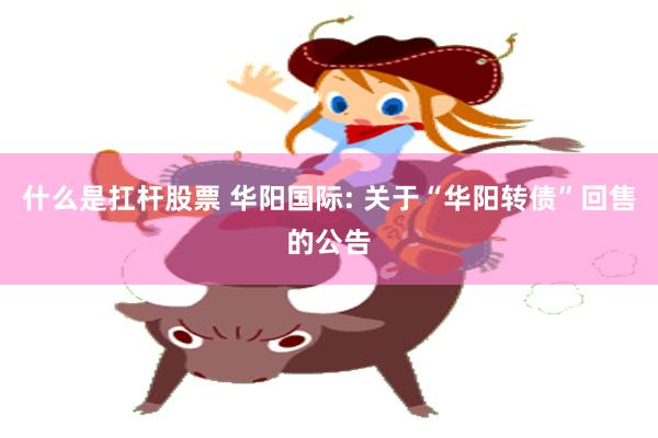 什么是扛杆股票 华阳国际: 关于“华阳转债”回售的公告
