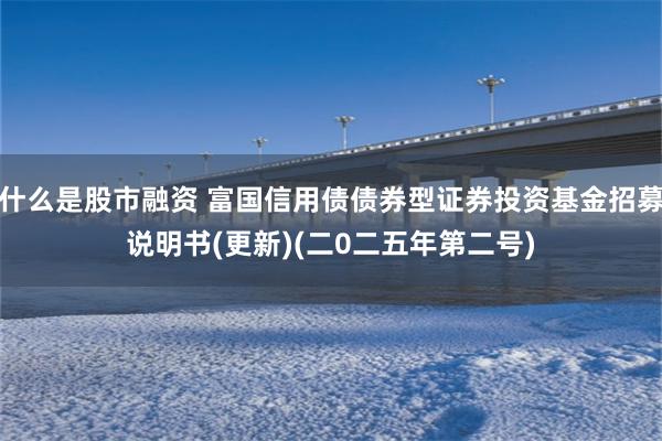 什么是股市融资 富国信用债债券型证券投资基金招募说明书(更新