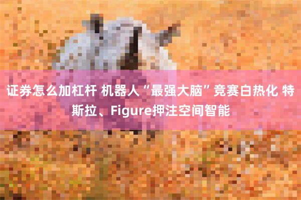证券怎么加杠杆 机器人“最强大脑”竞赛白热化 特斯拉、Fig