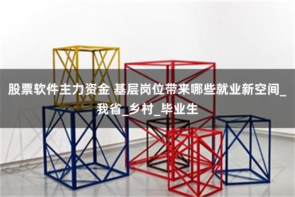 股票软件主力资金 基层岗位带来哪些就业新空间_我省_乡村_毕